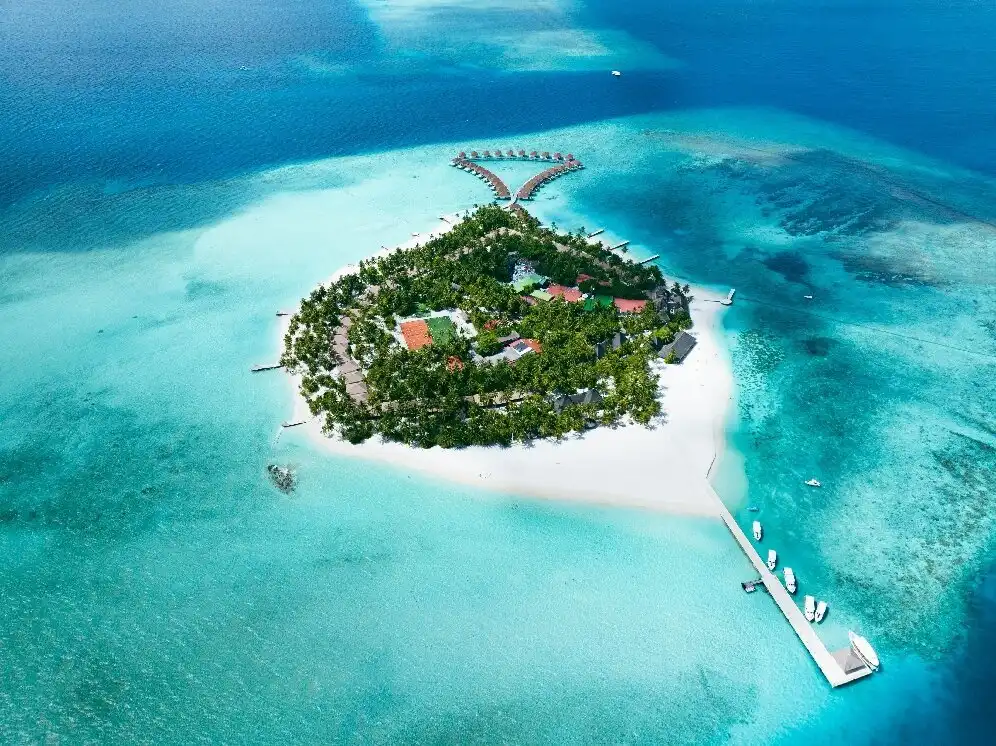 Hotels near Azalea Cruise