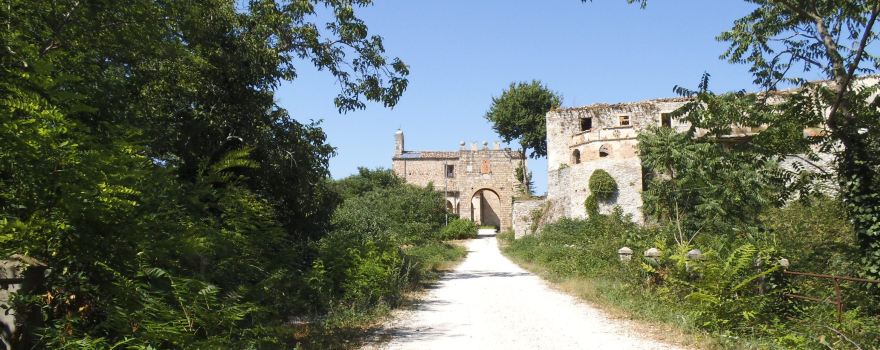 Faraone Vecchio