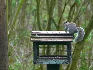 Moore Nature Reserve