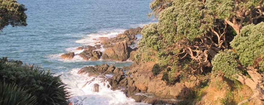 Taumarumaru Scenic Reserve Walk