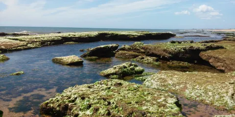Praia dos Recifes