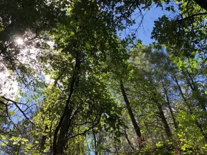 Horton Creek Trailhead
