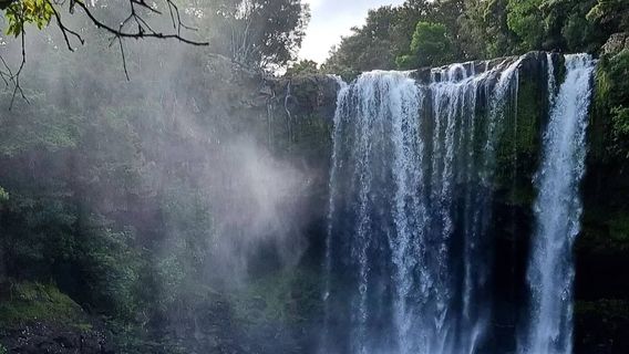 Kerikeri River walking track