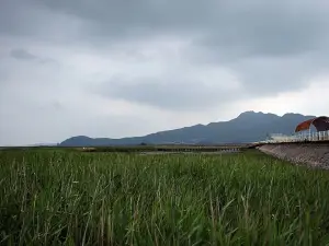 강진만 생태공원