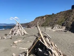 Salmon Creek State Beach
