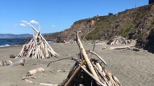 Salmon Creek State Beach