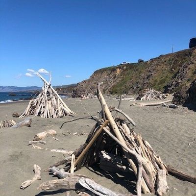 Salmon Creek State Beach