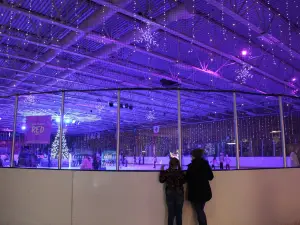 Sprinker Recreation Center