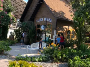 Aura Farm
