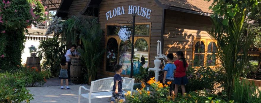 Aura Farm