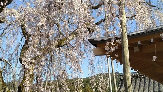 Horen-ji Temple