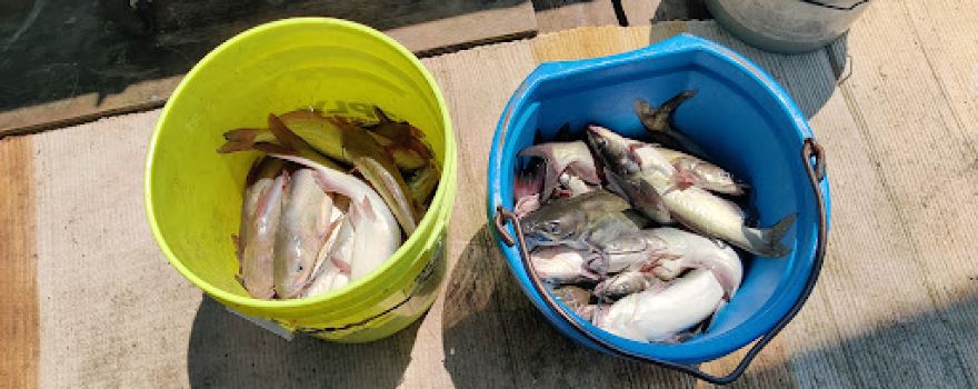 Lake Tawakoni Fishing Guide-Thunder Cove Guide Service