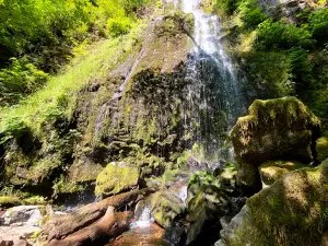 Oregon’s Niagara Falls trailhead
