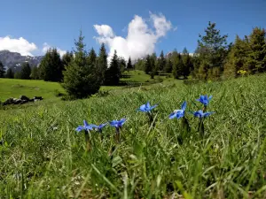 Via souterrata de la Tune
