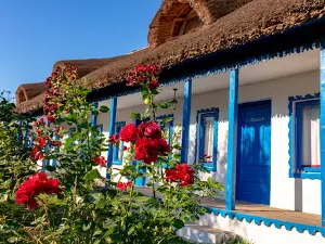 Suvenir din Dobrogea