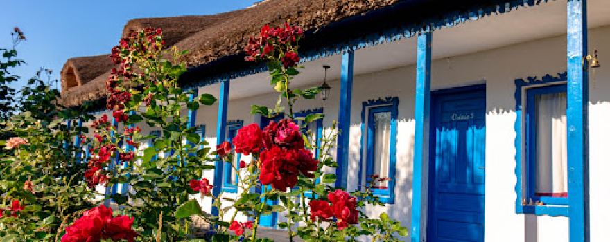 Suvenir din Dobrogea