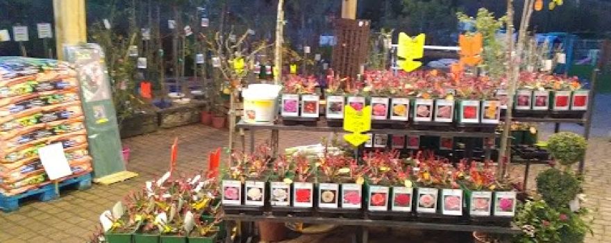 Jardinerie Triplet