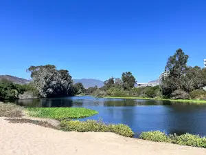 Punta Puyai