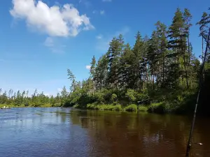 Cirgalu tornis