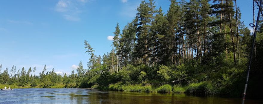 Cirgalu tornis