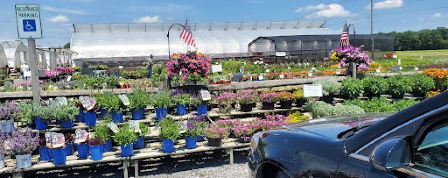 C&M Greenhouses