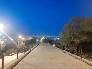 Саве Баэм