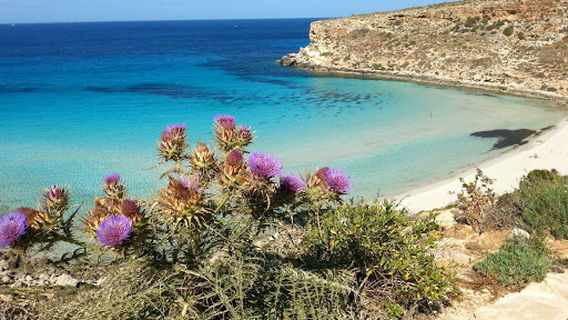 Villaggio Camping La Roccia