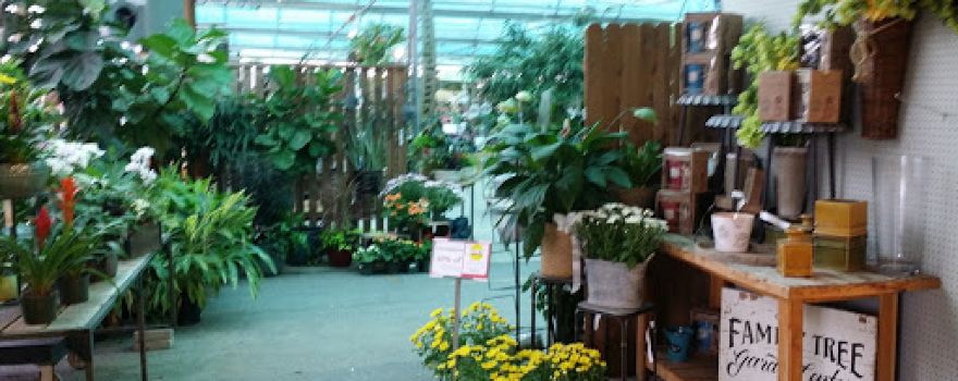 The Family Tree Garden Center