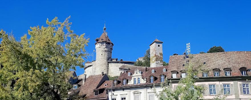 Schweizerische Schifffahrtsgesellschaft Untersee und Rhein AG (URh)