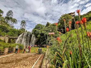 Cascada el Salto
