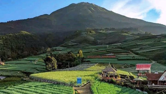 Nampan Sukomakmur Kajoran Magelang