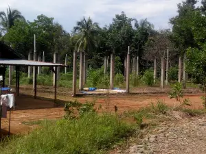 Masjid LDII B (Miftahul Jannah), Ngestiboga II