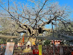 Parijaat Dham Dwar