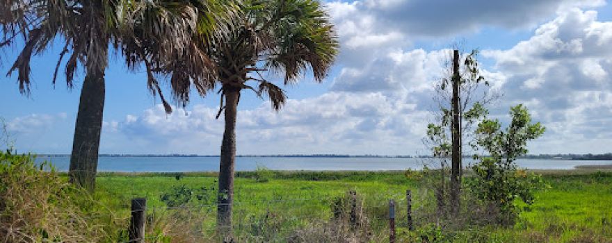 Lake Wales Ridge Wildlife and Environmental Area - Lake Placid Scrub
