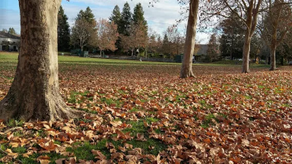 Lakewood Meadows Park