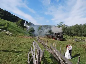 Mocănița Apusenilor , Câmpeni - Abrud