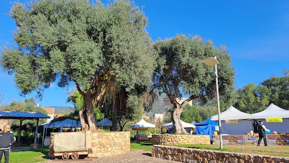 Comune di Gonnesa - S'Olivariu