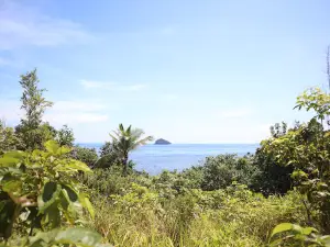 Mendanau Island