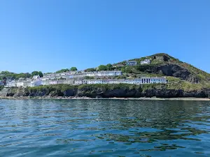 New Quay Boat Trips