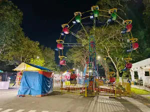 Freedom Park