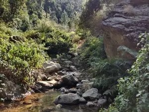 Rudradhari Waterfall