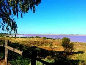 Bumbunga Lake Lookout