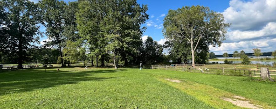 Cooperation Station Dog Park