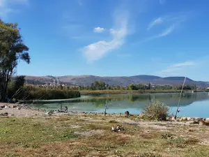 Yeniçağa Picnic Place