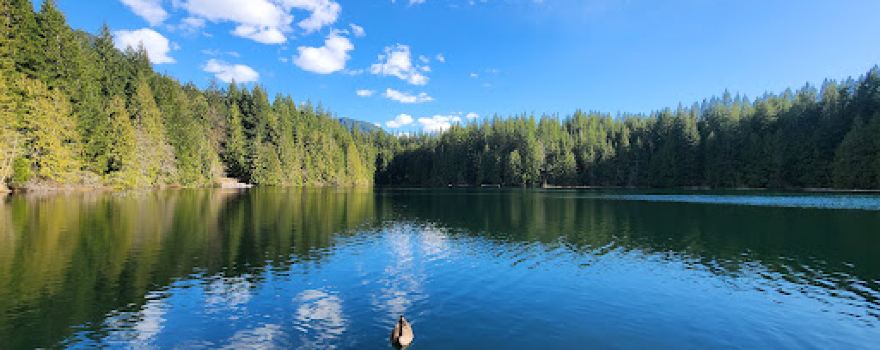Cat Lake