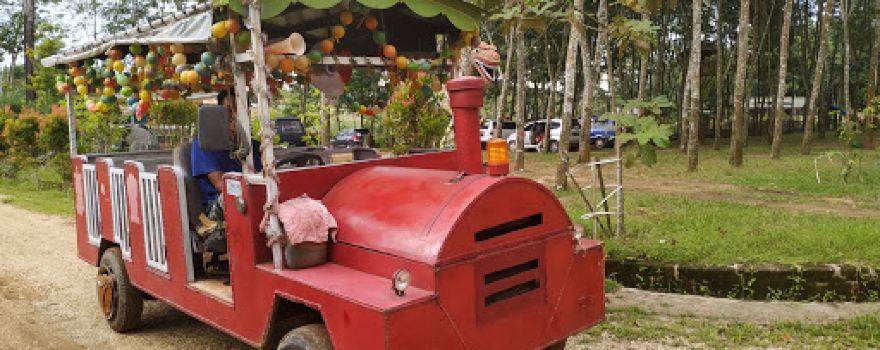 Agrowisata Lembah Bambu Kuning