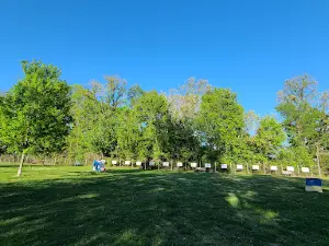 Bark Park