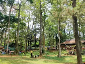 Woodland