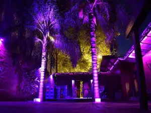 MOON DISCO