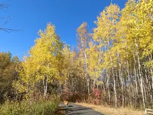 Springvale County Park